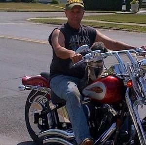 Meet your Posher, Hector